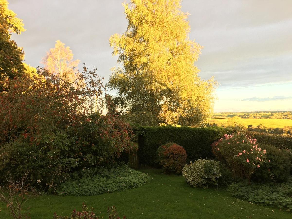 Affittacamere East Hillerton House Crediton Esterno foto