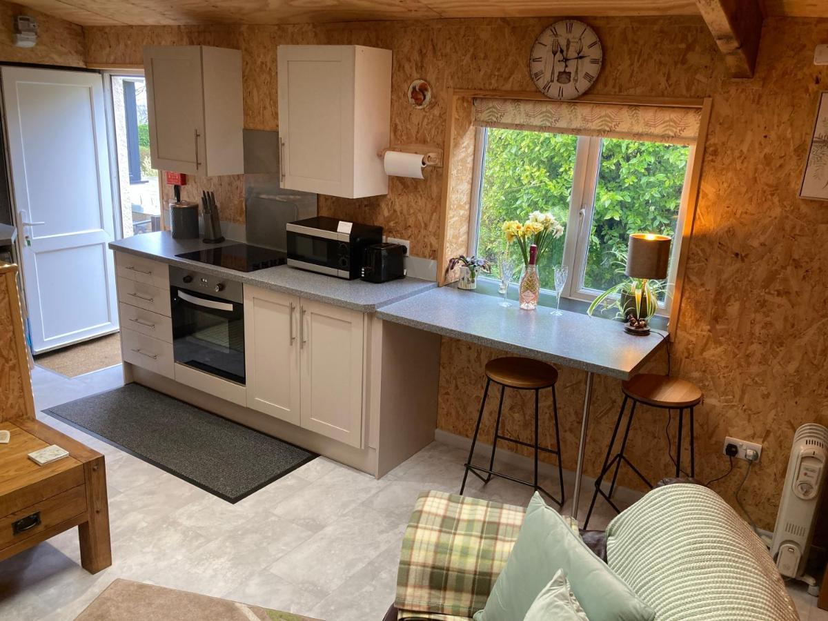Affittacamere East Hillerton House Crediton Esterno foto