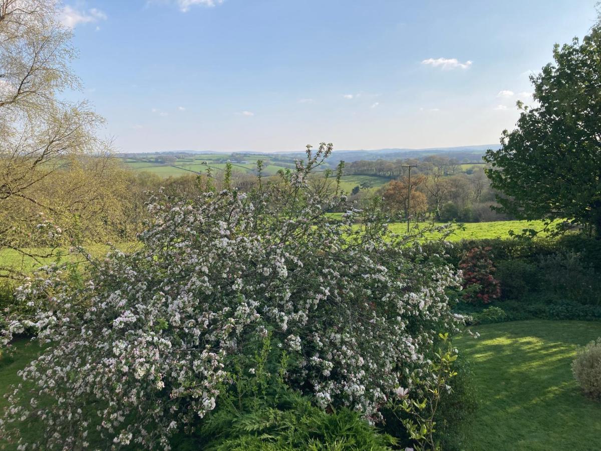 Affittacamere East Hillerton House Crediton Esterno foto