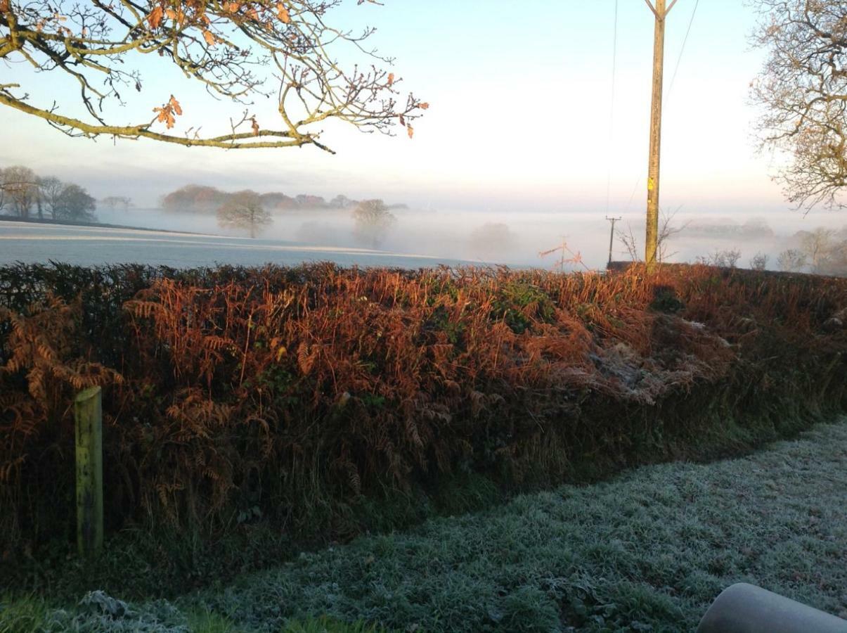 Affittacamere East Hillerton House Crediton Esterno foto