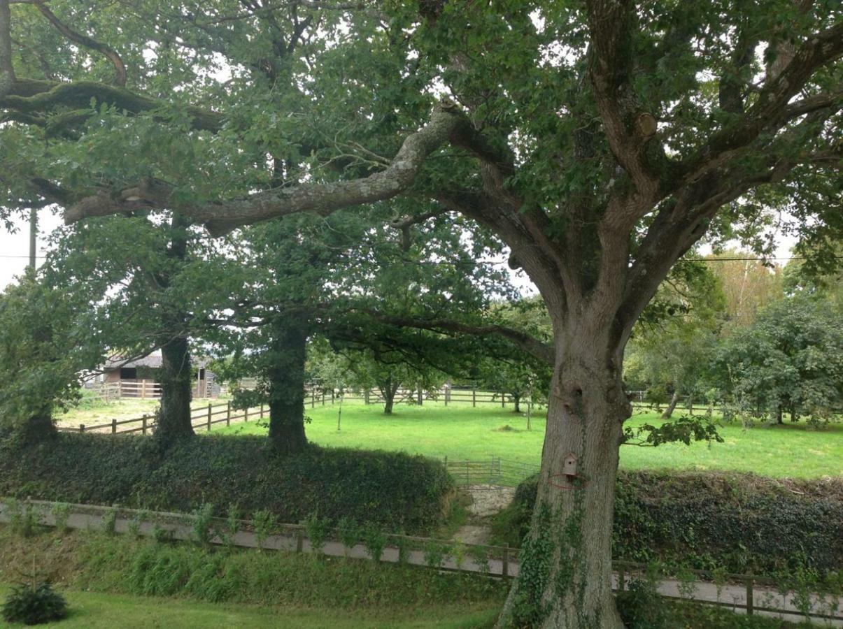 Affittacamere East Hillerton House Crediton Esterno foto