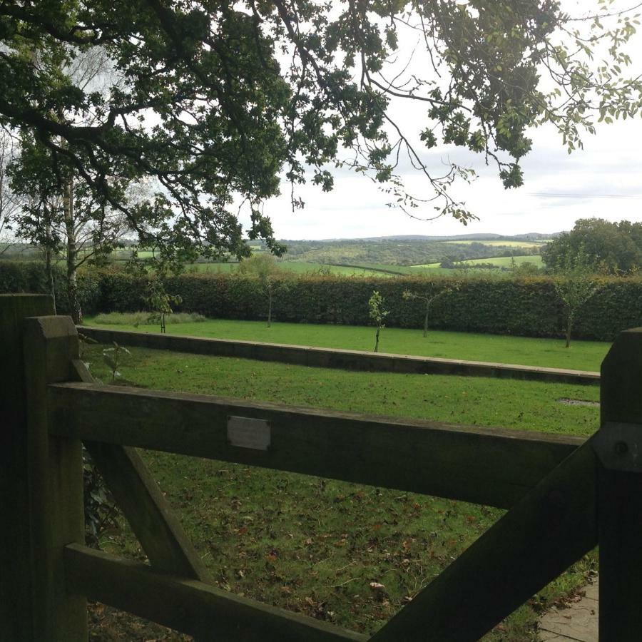 Affittacamere East Hillerton House Crediton Esterno foto