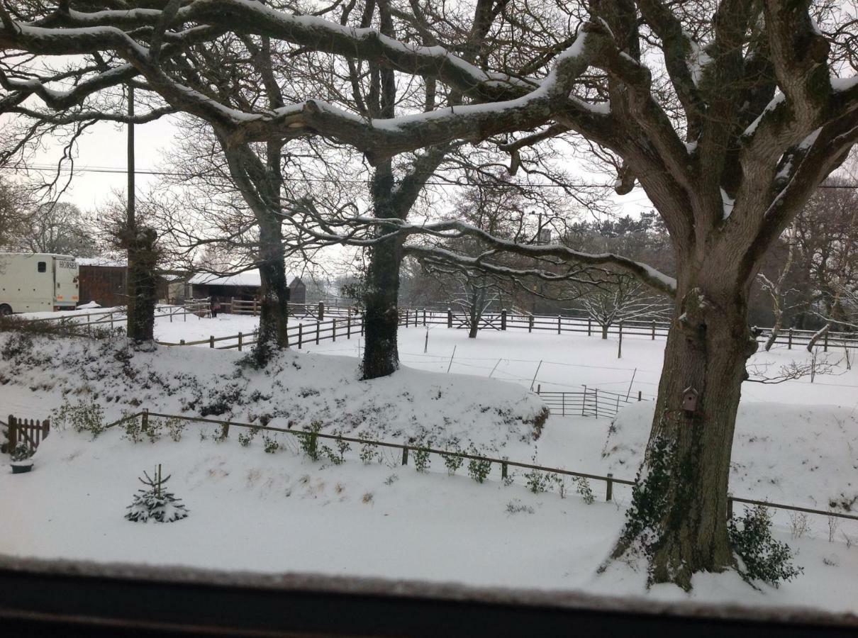 Affittacamere East Hillerton House Crediton Esterno foto